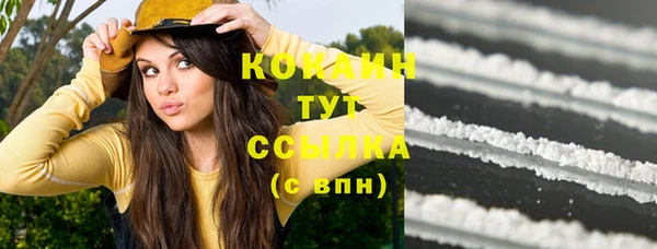 прущие крисы Арсеньев
