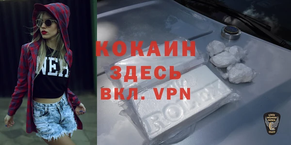 шишки Аркадак