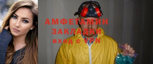 шишки Аркадак