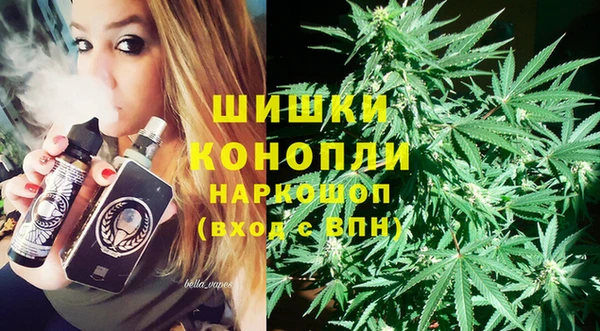 шишки Аркадак