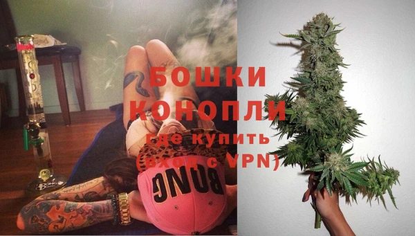 шишки Аркадак