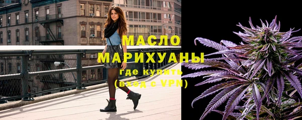 шишки Аркадак