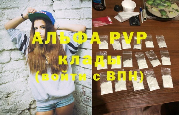 шишки Аркадак