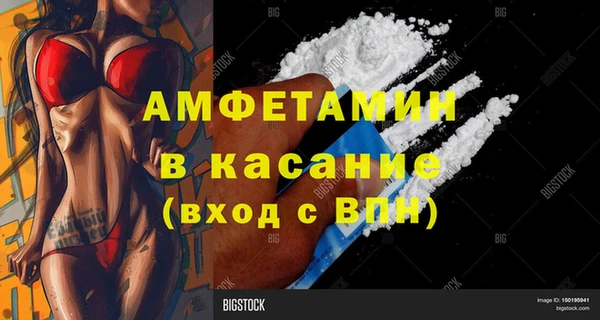 шишки Аркадак