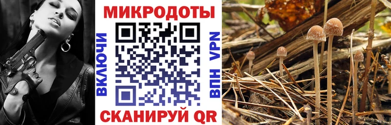 Галлюциногенные грибы Psilocybine cubensis  Семёнов 
